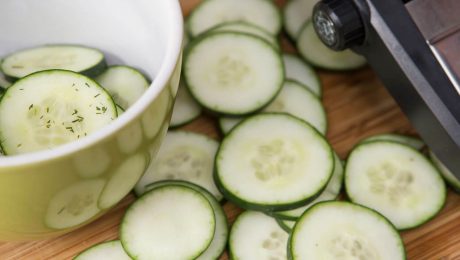Cucumber_0748