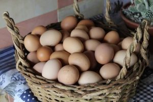 Pasture-Raised Eggs